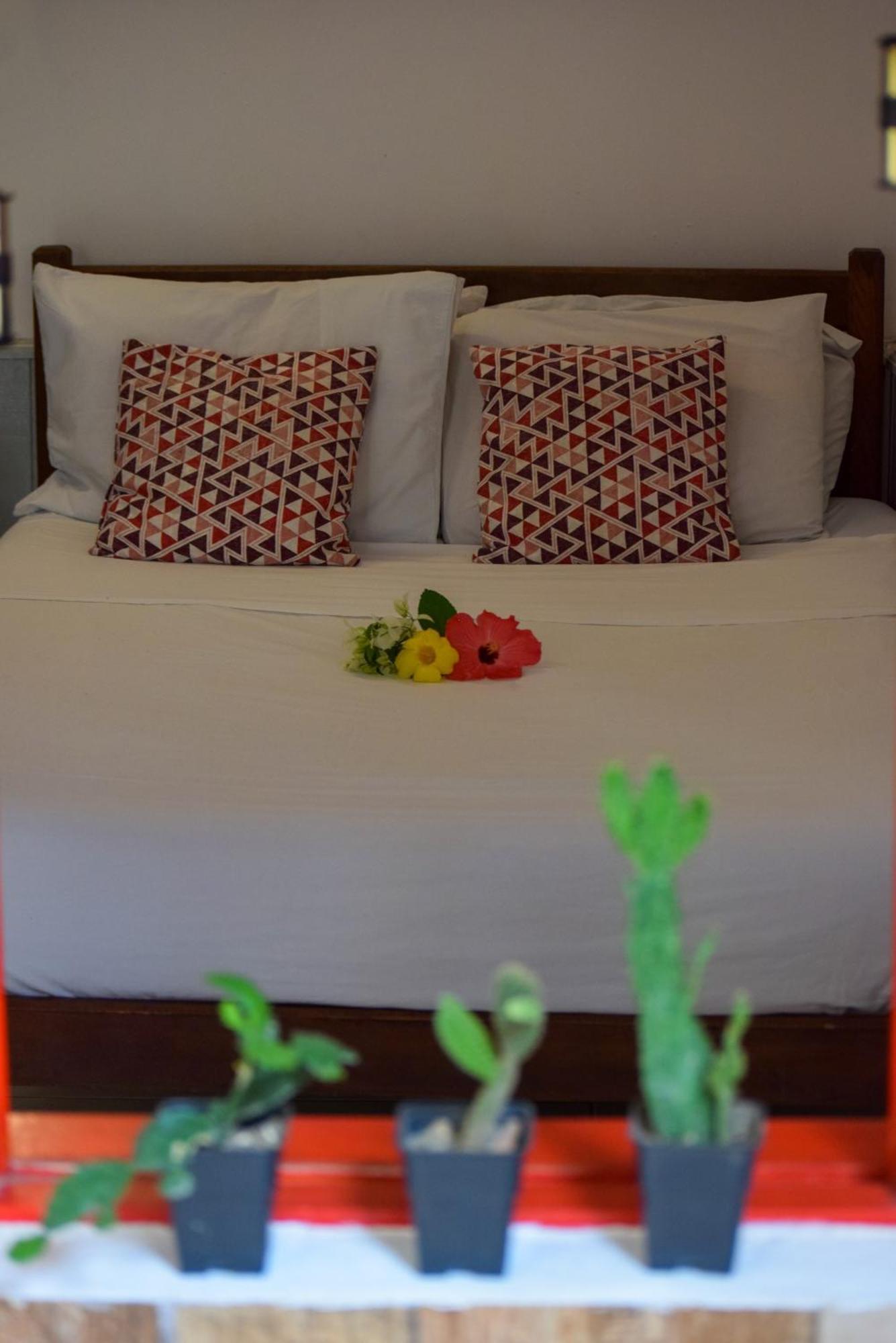 פאראטי Leo'S Clan Beach Hostel מראה חיצוני תמונה
